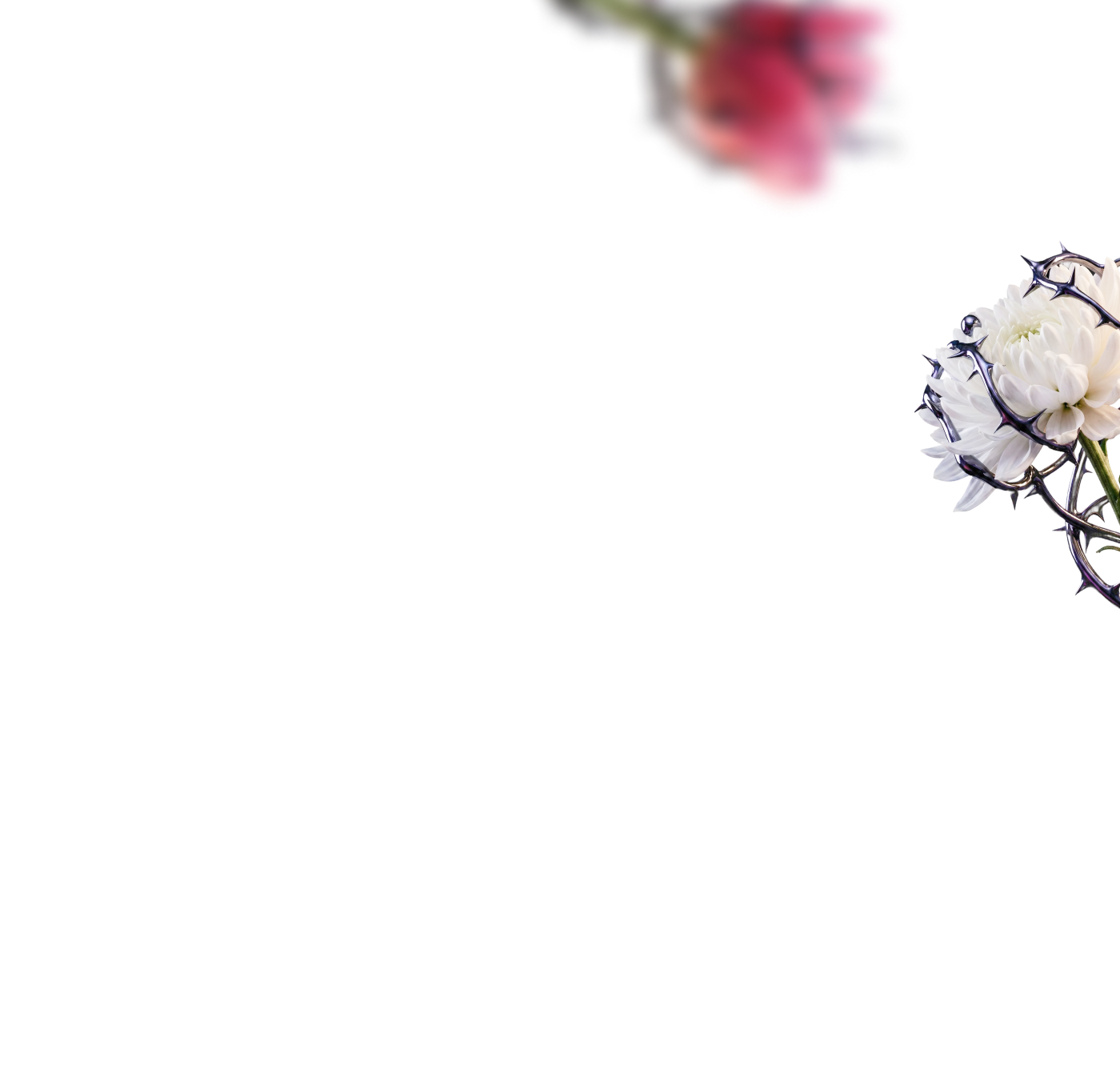 8 March popup (2560) bg-popup-webinar